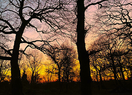 Winter sunset photographed at Chaddesden woods