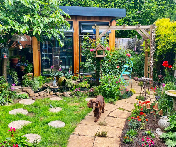 Garden Studio and Little Ivy Dog