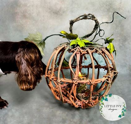 Large wicker pumpkin lantern